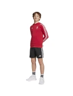 Adidas Liverpool FC Hoody Detská mikina HD JW7904