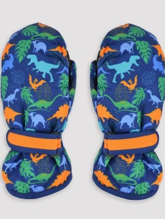 LYŽIARSKE RUKAVICE RN045