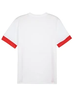 Puma teamGoal Matchday Jersey M 705747 11 muži Puma teamGoal Matchday Jersey M 705747 11 muži