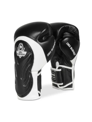 Boxerské rukavice 10oz - Blaze White - Legacy Series