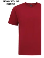 Pánske tričko ALEKSANDER 3XL-4XL Pánske tričko ALEKSANDER 3XL-4XL