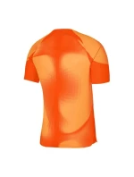 Pánske brankárske tričko Dri-FIT ADV Gardien 4 M DH7760-819 - Nike