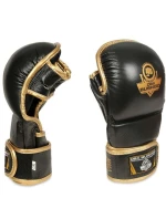 Tréningové rukavice MMA M - Aureos - Valor Series