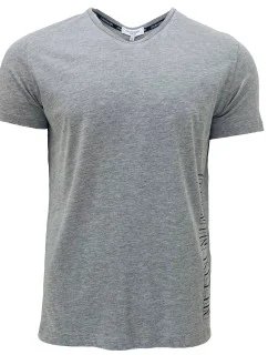 Pánske tričko s krátkym rukávom KM0KM00333-033 - Calvin Klein