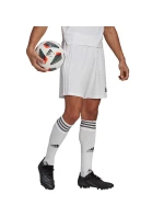 Pánske kraťasy Squadra 21 Short M GN5774 - Adidas