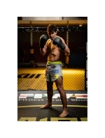 Boxerské rukavice 10oz - Black Master - Valor Series