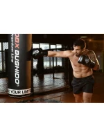 Boxerské rukavice 10oz - Eclipse - Origin Series Boxerské rukavice 10oz - Eclipse - Origin Series