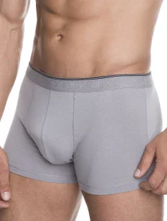 Julimex Farba železa:sivá