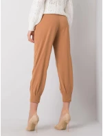 Tepláky 217 DR 25676.78P ťava