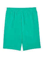 Pánske šortky Puma ESS No.1 Logo 10" (s) zelené 682595 40 Pánske šortky Puma ESS No.1 Logo 10" (s) zelené 682595 40