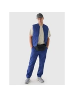 Pánske nohavice na voľný čas 4F 4FRAW24TTROM1349-31S