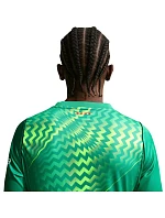 Pánske tričko Nike FC Barcelona Stadium Goalkeeper 2026/27, zelené, II1997 324 Pánske tričko Nike FC Barcelona Stadium Goalkeeper 2026/27, zelené, II1997 324