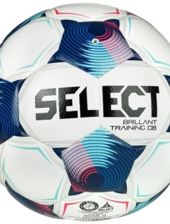 Vybrať Brillant Training DB v25 FIFA Basic Ball 120075 White 3