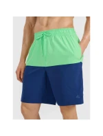 Pánske plážové šortky boardshorts 4F 4FWSS25UBDSM135-42S