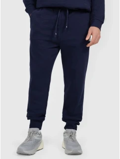 Pánske tepláky typu jogger 4F 4FRMM00TTROM1624-31S