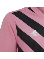 Entrada 22 Graphic Jersey Jr HC2632 - Adidas