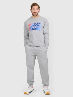 Pánske tepláky typu jogger 4F 4FRAW25TTROM1832-27M