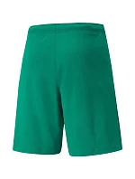 Pánske teamRISE Short M 704942 05 - Puma