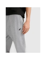 Pánske tepláky typu jogger 4F 4FRMM00TTROM1624-27M