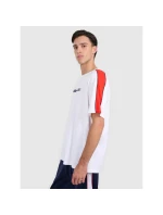 Pánske tričko oversize s potlačou 4F 4FRAW25TTSHM3227-10S