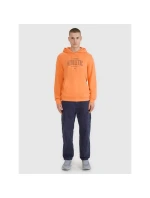 Pánska mikina s kapucňou 4F 4FRSS25TSWSM2201-70S pánska