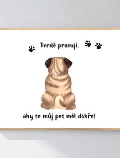 Personalizovaný magický fotob obraz v ráme – 40x50 – ilustrácie domácich miláčikov