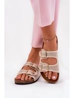 Papuče model 209969 Step in style Papuče model 209969 Step in style