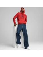 Puma Ess Logo Lab Hoodie FL M 684669 15 muži