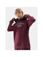 Mikina 4F Jr 4FJAW23TSWSM651-60S