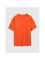 Pánske tričko oversize s potlačou 4F 4FRSS25TTSHM2652-70S pánske