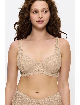 Soft model 229126 Triumph