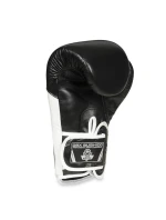 Boxerské rukavice 10oz - Blaze White - Legacy Series