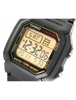 Pánske hodinky CASIO W-800HG-9AVDF + BOX Pánske hodinky CASIO W-800HG-9AVDF + BOX