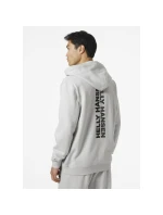 Helly Hansen Core Graphic Sweat Hoodie M 53924 825 Helly Hansen Core Graphic Sweat Hoodie M 53924 825