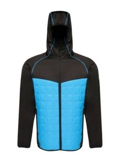 Pánska modulárna termo bunda Regatta M TRA517 4WD