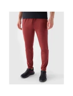 Pánske rýchloschnúce tréningové nohavice 4F 4FRAW24TFTRM0933-61S