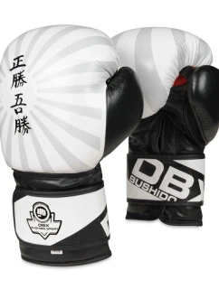 Boxerské rukavice 10oz - Japonsko - Valor Series