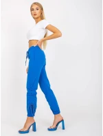 Tepláky RV DR 7943.19 tmavo modrá Tepláky RV DR 7943.19 tmavo modrá