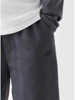 Chlapčenské tepláky 4F