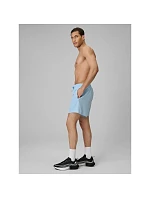 Pánske plážové šortky boardshorts 4F 4FRSS26UBDSM229-33S