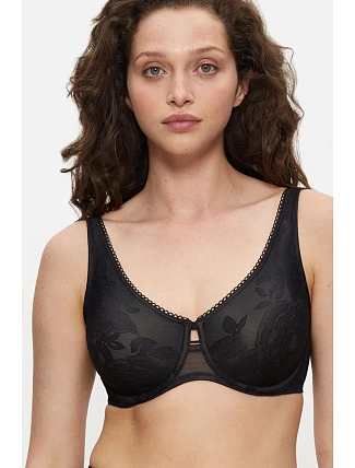 Soft model 229886 Triumph