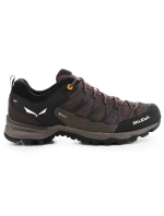 Salewa Pánske topánky Mtn Trainer Lite GTX M 61361-7512