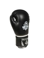 Boxerské rukavice 10oz - Classic White - Origin Series