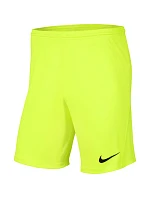 Pánska obuv Dry Park III NB K M BV6855 702 - Nike