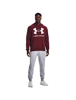 Pánska mikina Rival Fleece Big Logo HD M 1357093 690 - Under Armour