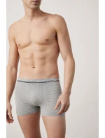 PÁNSKE BOXERKY 20153