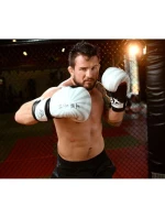 Boxerské rukavice 10oz - Japonsko - Valor Series