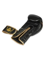 Boxerské rukavice 10oz - Aureos - Valor Series