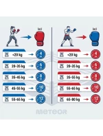 Tréningové boxerské rukavice Meteor 10 oz, suchý zips, PU