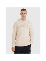 Pánska mikina s kapucňou 4F 4FRSS25TSWSM2201-12S pánska